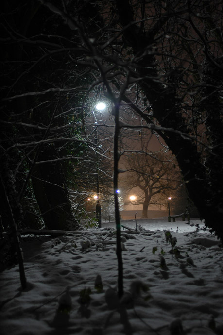 DSC 0738